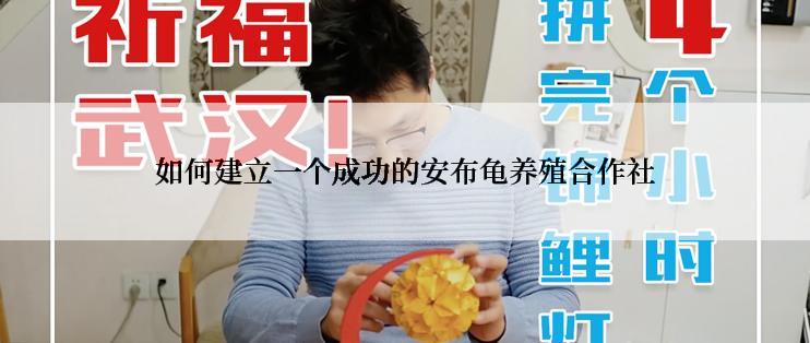 如何建立一个成功的安布龟养殖合作社