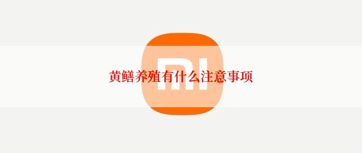 黄鳝养殖有什么注意事项