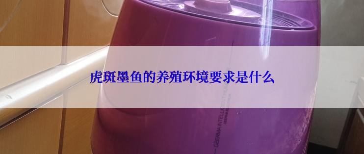 虎斑墨鱼的养殖环境要求是什么