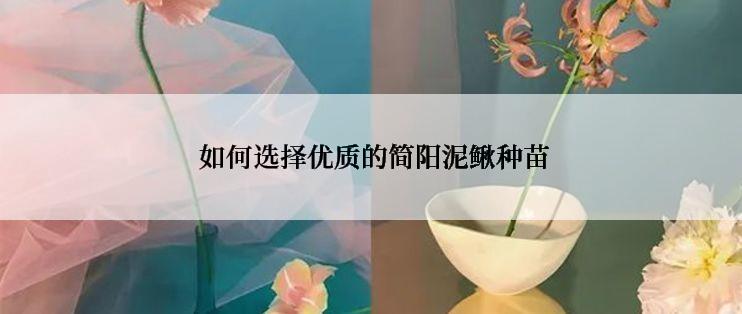  如何选择优质的简阳泥鳅种苗