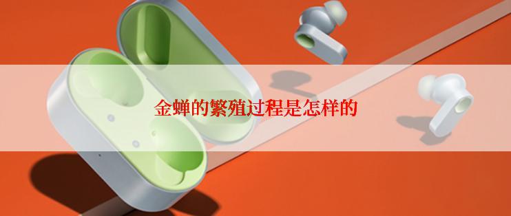 金蝉的繁殖过程是怎样的