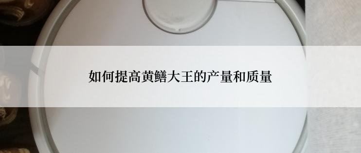 如何提高黄鳝大王的产量和质量