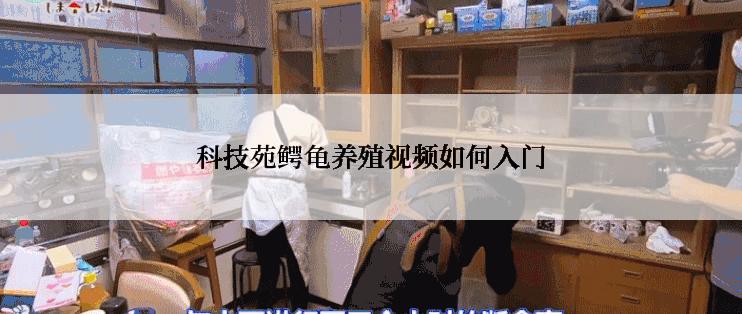 科技苑鳄龟养殖视频如何入门