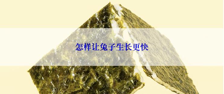 怎样让兔子生长更快