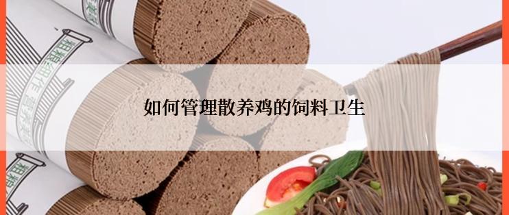 如何管理散养鸡的饲料卫生