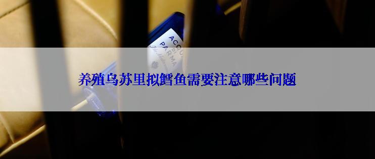 养殖乌苏里拟鳕鱼需要注意哪些问题