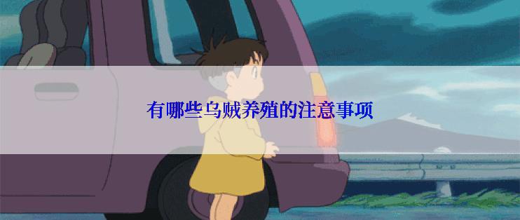 有哪些乌贼养殖的注意事项