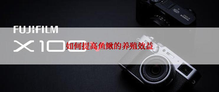 如何提高鱼鳅的养殖效益