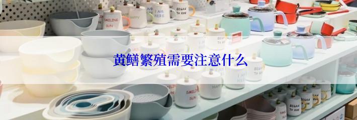  黄鳝繁殖需要注意什么