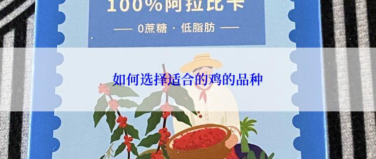 如何选择适合的鸡的品种