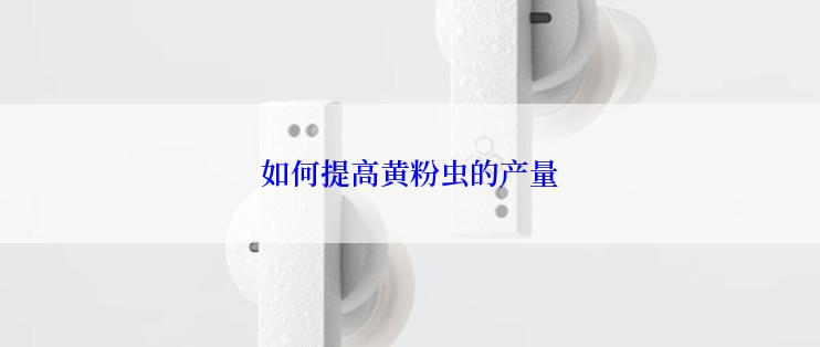 如何提高黄粉虫的产量