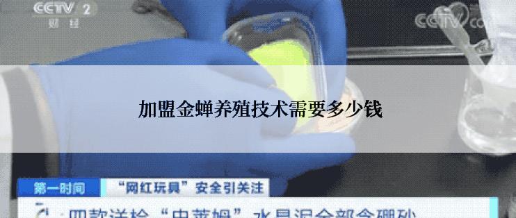  加盟金蝉养殖技术需要多少钱