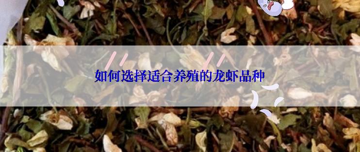 如何选择适合养殖的龙虾品种