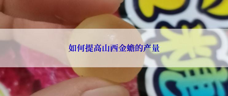 如何提高山西金蟾的产量