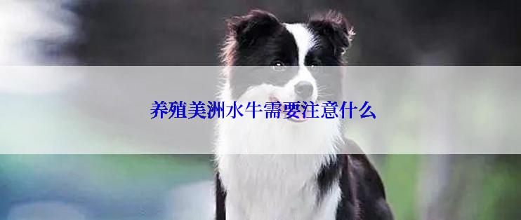  养殖美洲水牛需要注意什么