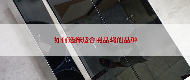  如何选择适合商品鸡的品种