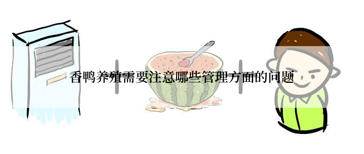 香鸭养殖需要注意哪些管理方面的问题