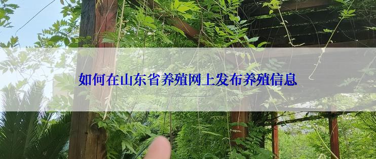 如何在山东省养殖网上发布养殖信息