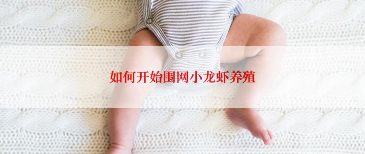 如何开始围网小龙虾养殖