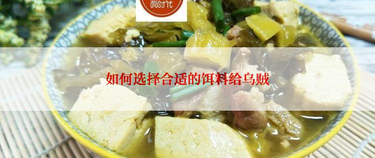 如何选择合适的饵料给乌贼