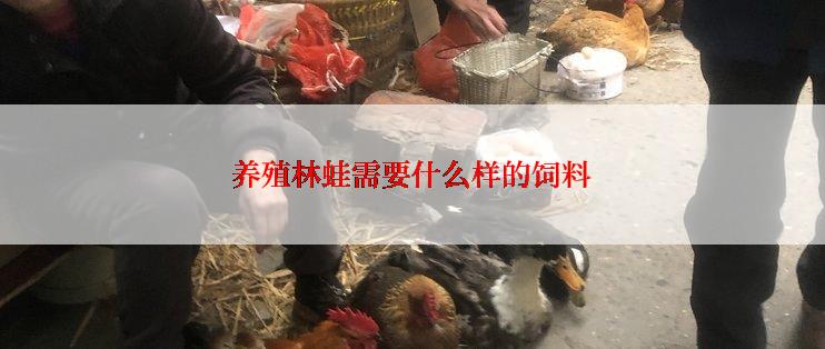 养殖林蛙需要什么样的饲料