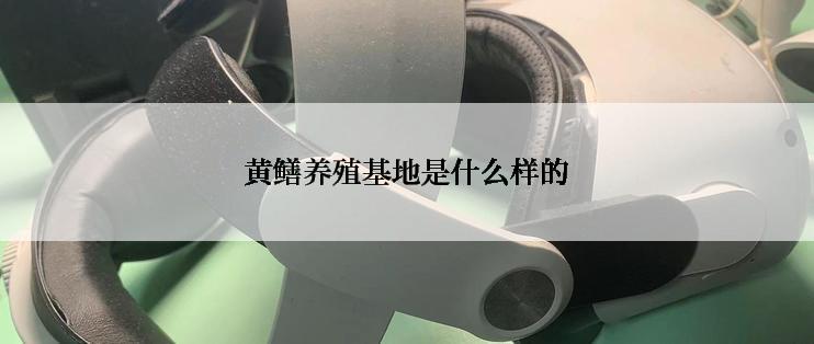 黄鳝养殖基地是什么样的