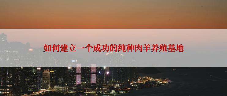 如何建立一个成功的纯种肉羊养殖基地