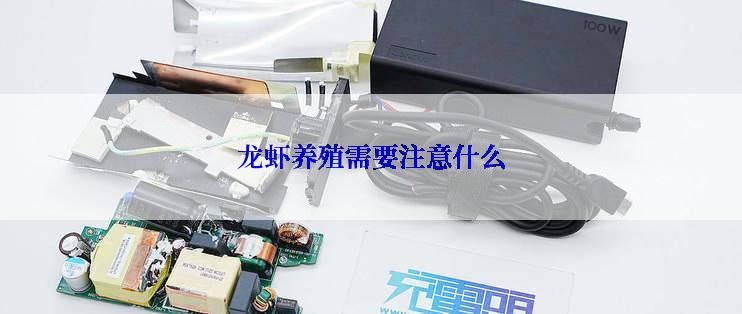 龙虾养殖需要注意什么