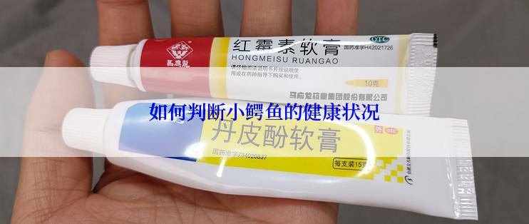 如何判断小鳄鱼的健康状况