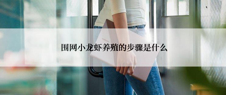  围网小龙虾养殖的步骤是什么