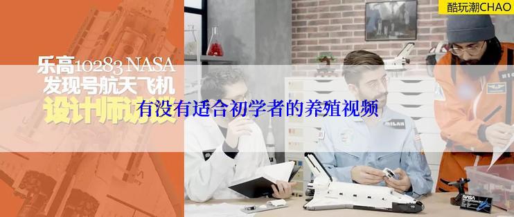 有没有适合初学者的养殖视频