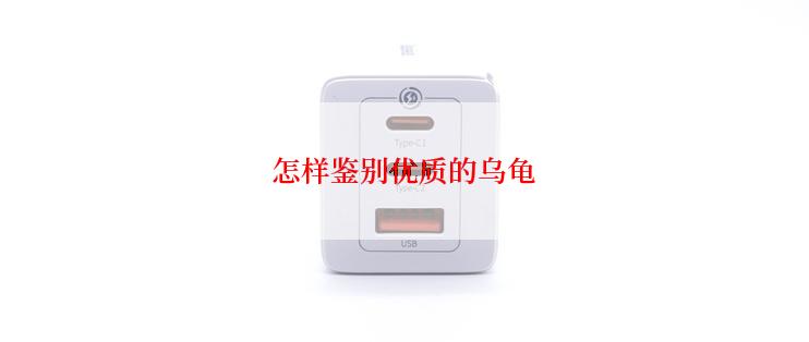 怎样鉴别优质的乌龟