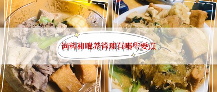 饲料和喂养管理有哪些要点