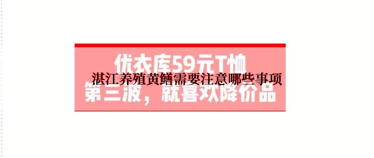 湛江养殖黄鳝需要注意哪些事项