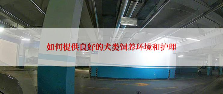 如何提供良好的犬类饲养环境和护理