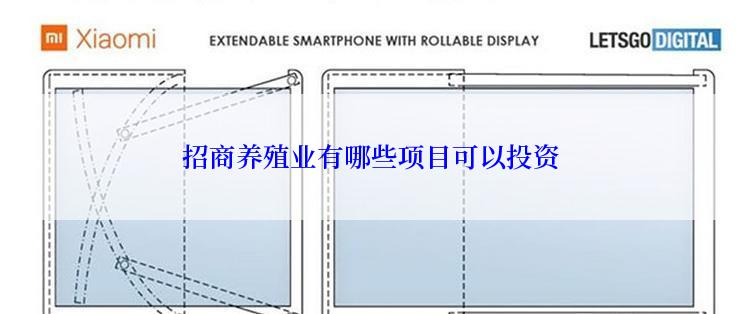 招商养殖业有哪些项目可以投资