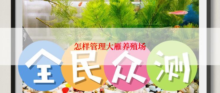 怎样管理大雁养殖场