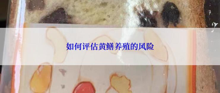 如何评估黄鳝养殖的风险