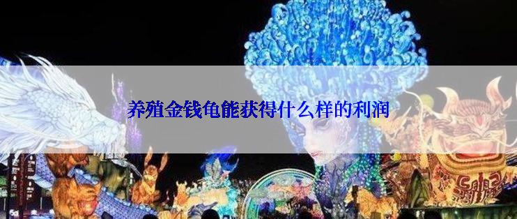 养殖金钱龟能获得什么样的利润