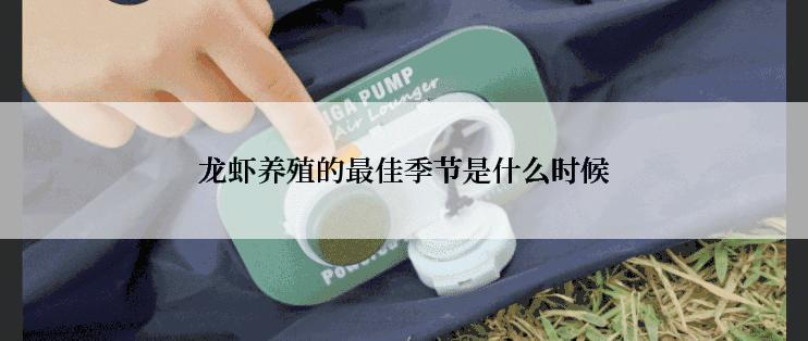 龙虾养殖的最佳季节是什么时候