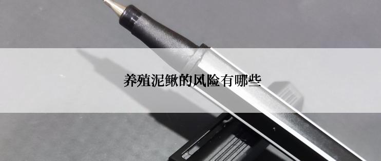  养殖泥鳅的风险有哪些