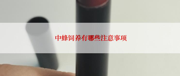  中蜂饲养有哪些注意事项