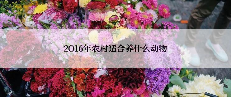 2O16年农村适合养什么动物