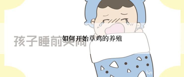 如何开始草鸡的养殖