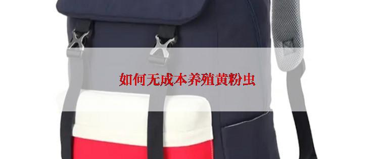 如何无成本养殖黄粉虫