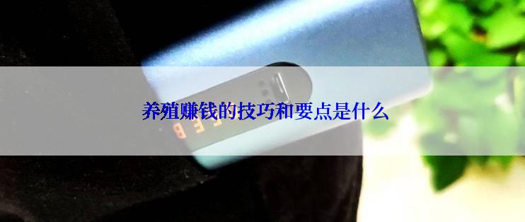  养殖赚钱的技巧和要点是什么