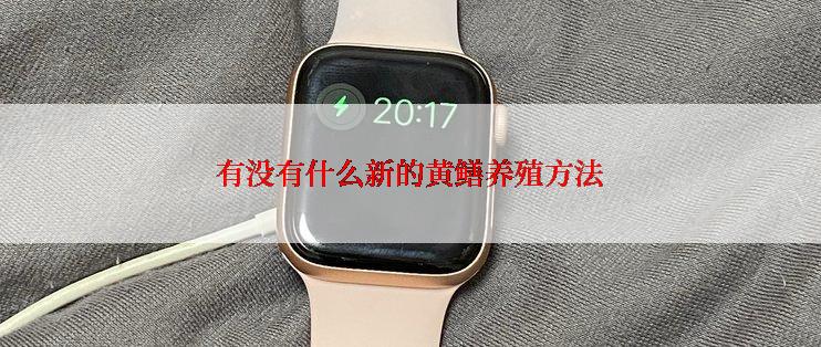 有没有什么新的黄鳝养殖方法