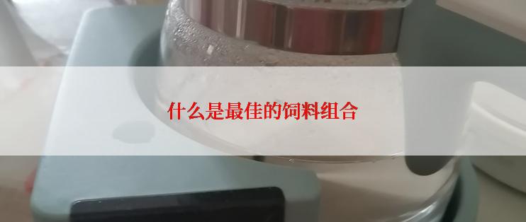 什么是最佳的饲料组合