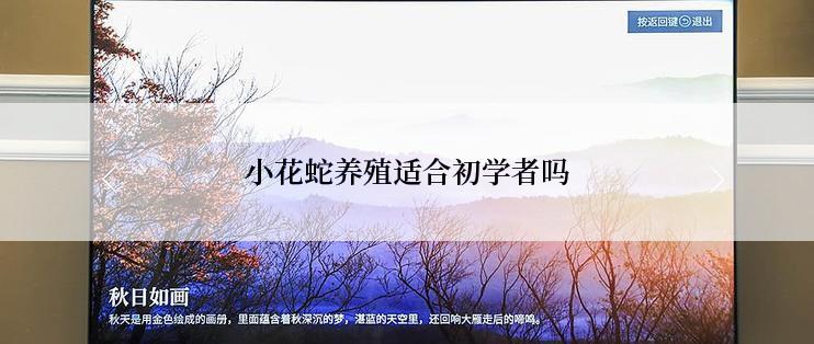 小花蛇养殖适合初学者吗