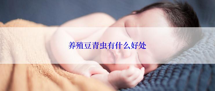 养殖豆青虫有什么好处